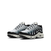 Big Kids' Nike Air Max Plus "Metallic Cool Grey"