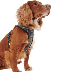 BARBOUR TARTAN DOG HARNESS