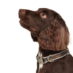 BARBOUR REFLECTIVE TARTAN DOG COLLAR