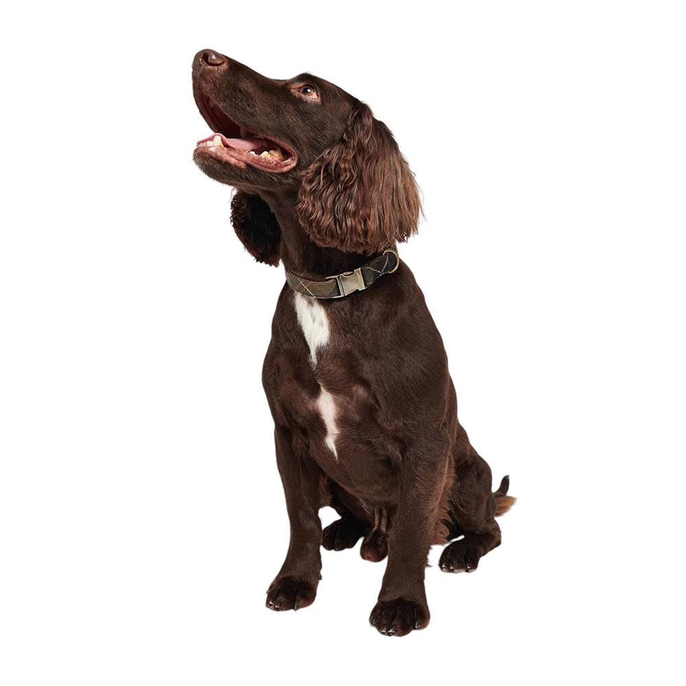 BARBOUR REFLECTIVE TARTAN DOG COLLAR