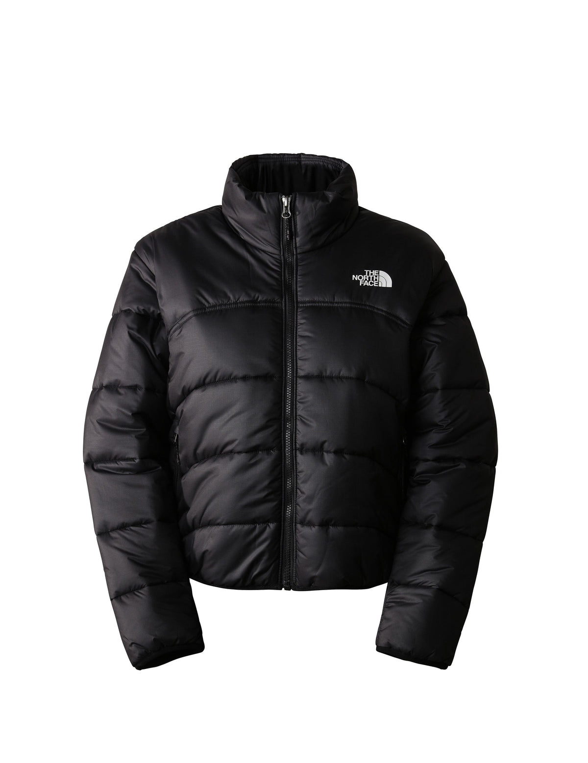 The North Face Women'S Tnf Jacket 2000 Black Down Jacket